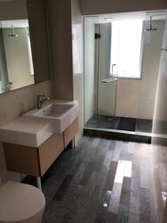 8 @ Mount Sophia (D9), Condominium #609148571